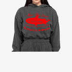 Load image into Gallery viewer, Women&#39;s Crop Top Hoodie
